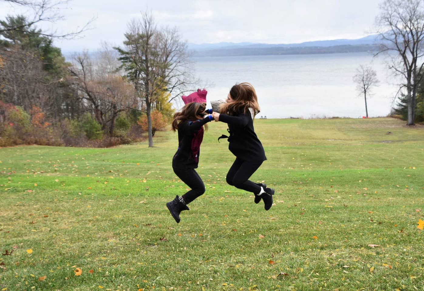 Fun on the lawn 